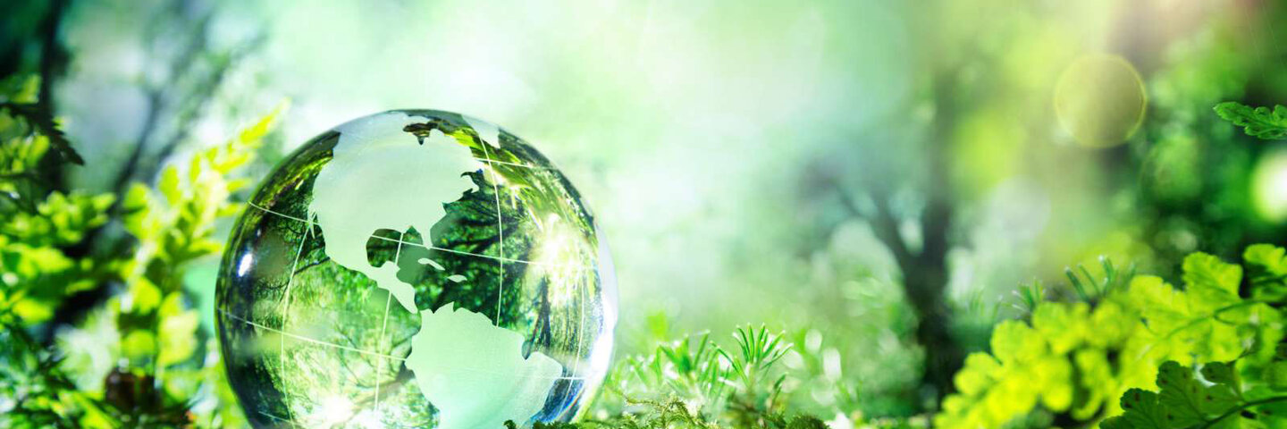 global-business-practices-in-sustainability-mgmtx481-5