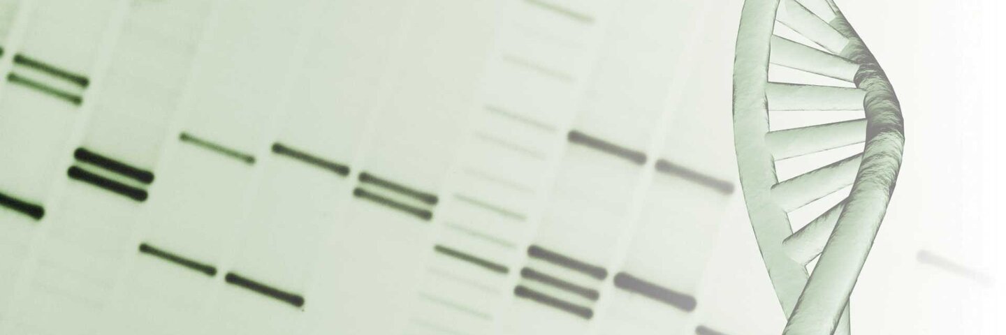 DNA helix and genetic mapping