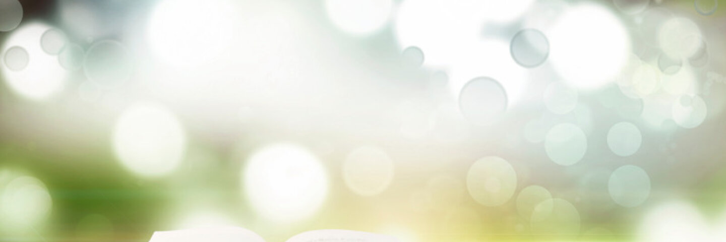 book on wooden bench with grassy background 