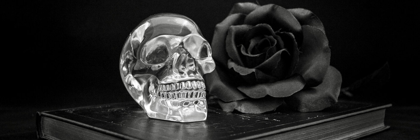 glass skull and black rose sitting on a black book